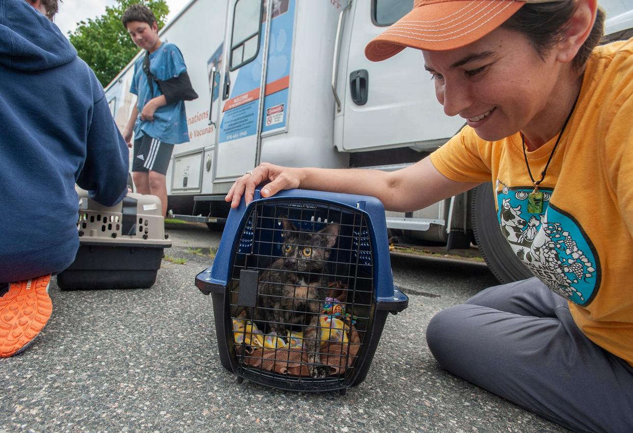 Val Couchon and her tortoiseshell cat, Sweet Pea, wait to be admitted outside the Merrimack River Feline Rescue Society Catmobile at the Framingham Animal Control office on Western Avenue, July 15, 2024. The Catmobile has performed 75,000 spay/neuter procedures since 2008. The package includes a brief exam, spay/neuter, rabies vaccination for cats over 12 weeks of age (and weighing at least 4 pounds/1.8 kg), FVRCP vaccination, tattooing, nail clipping and flea treatment. Microchips are also included. The Catmobile returns to Framingham on August 5 and 19.