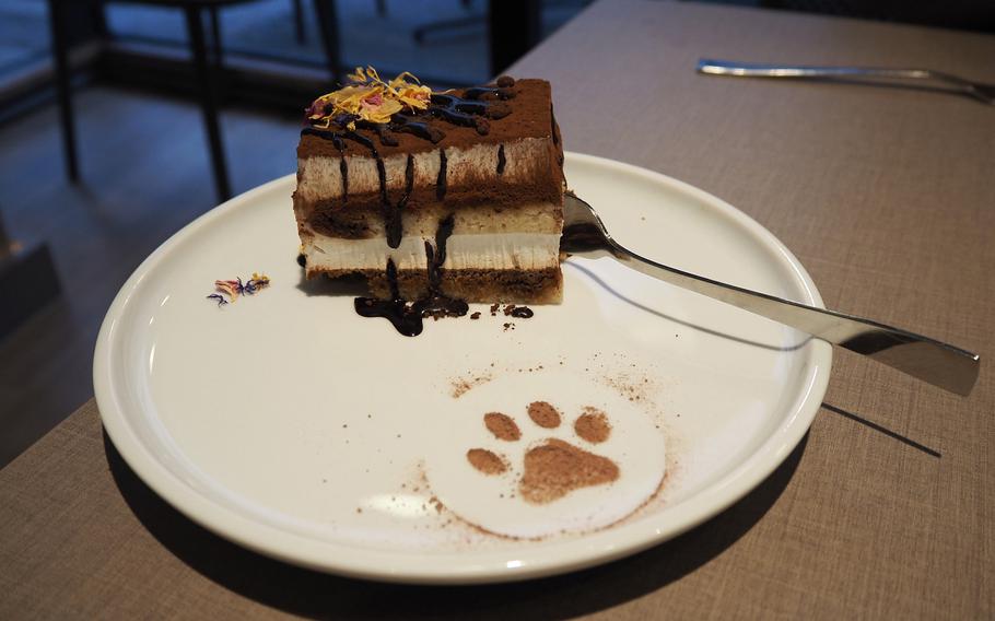 The tiramisu from the Katzentempel cat café in Trier, Germany, is prepared without eggs and dairy products.