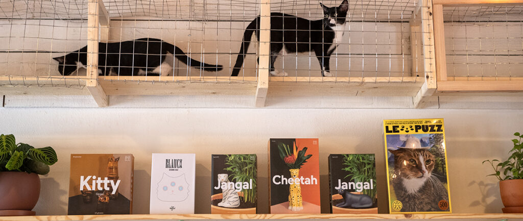 All things feline, including cats themselves, take center stage at this new Retro Row boutique