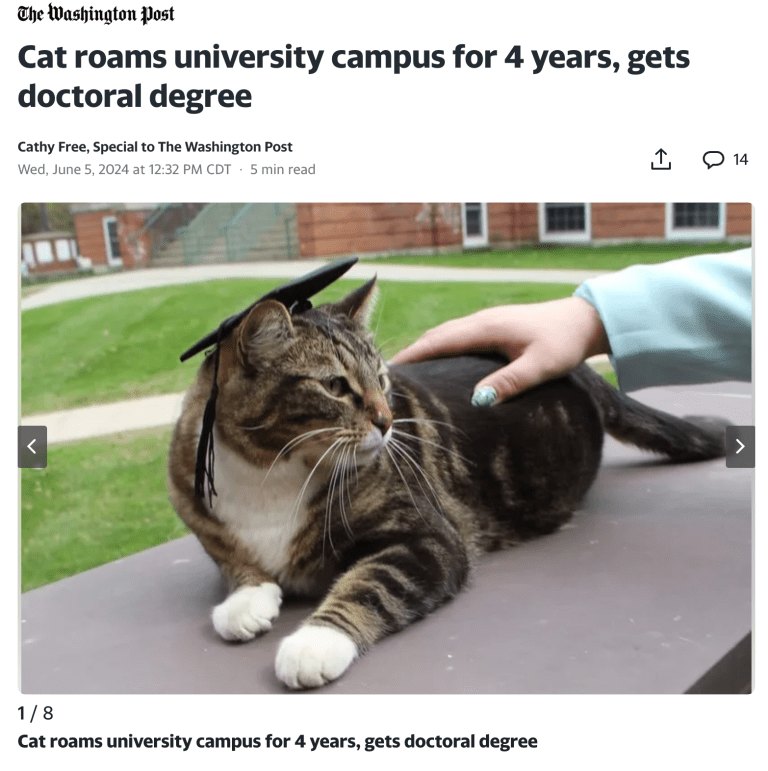 Caturday's Feline Trifecta: College Cat Gets Doctorate After Four Years; New Book 'Catland'; Viral Internet Cat Cala Dies; and Lagniappe