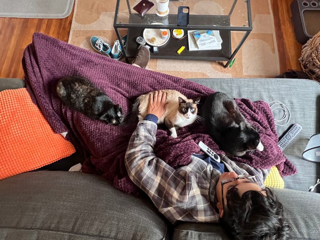 "My cats are my children," Jacob Mata, a member of Generation Z, told USA TODAY. The San Francisco political organizer feeds his cats a human-grade diet of raw meat that he buys from a high-end pet store.