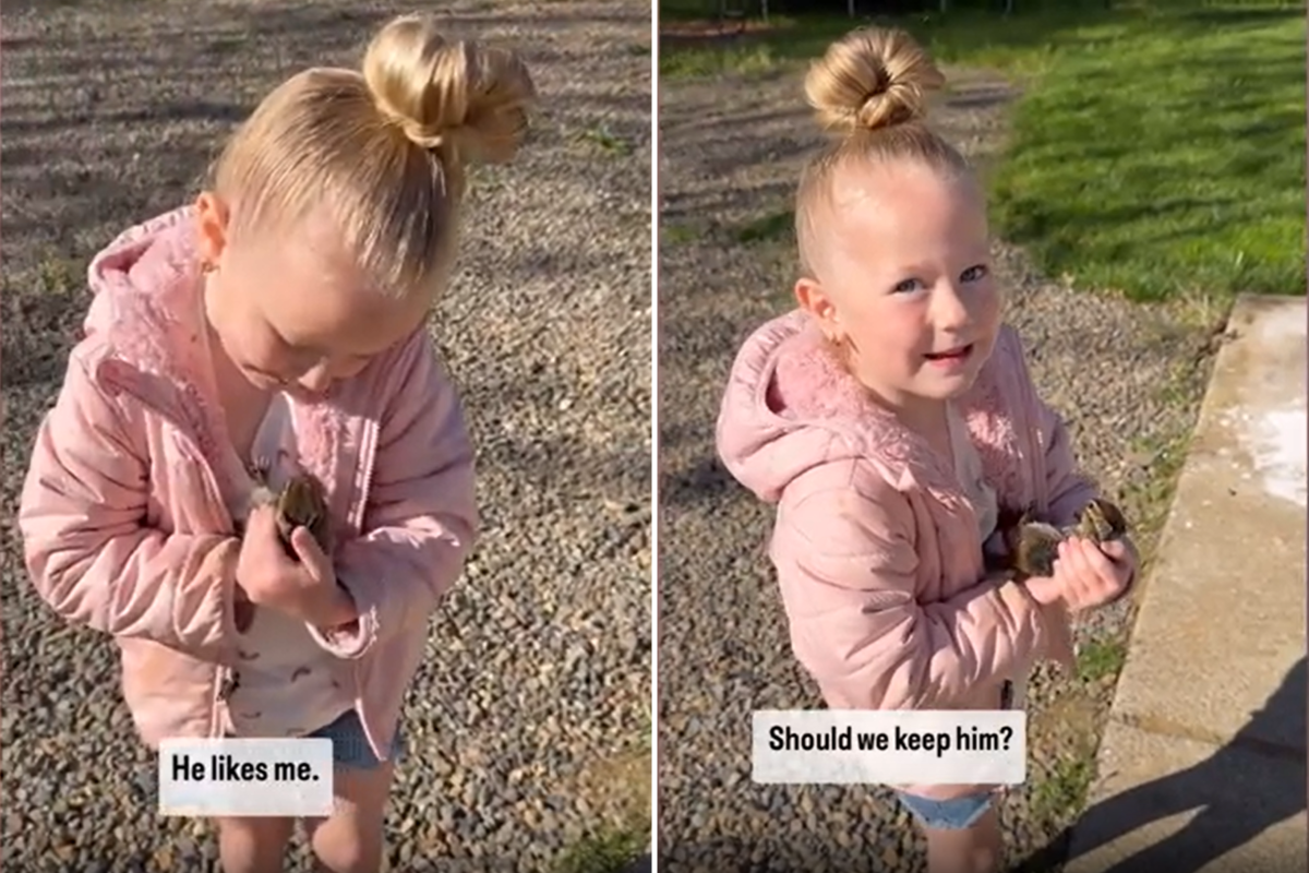 Girl Brings Home Pet Squirrel