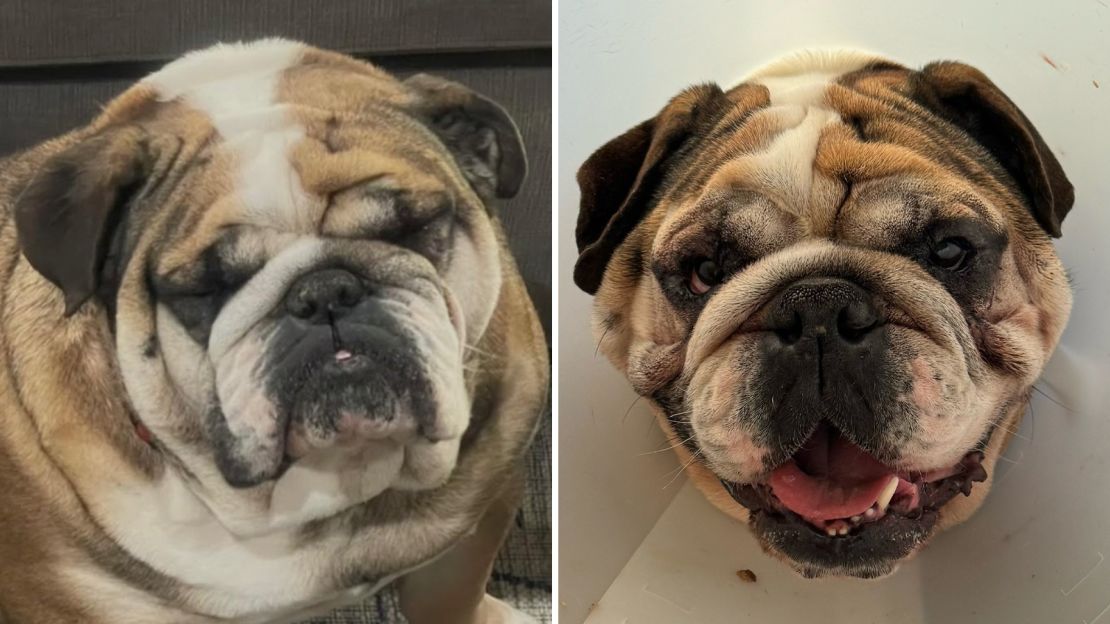 Before his nip and tuck (left), Hamilton hated opening his eyes. After his eyelids were fixed (right), his eyes are wide open.